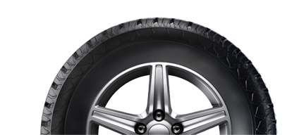 Tyres & Rims Image